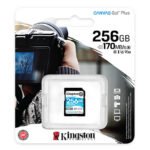 Kingston Canvas Go! Plus 256GB SDG3 Memory Card